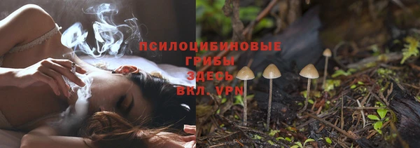 стаф Аркадак