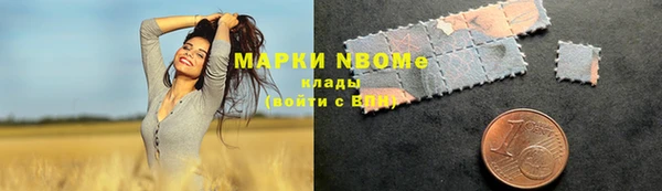 стаф Аркадак