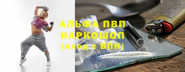 стаф Аркадак