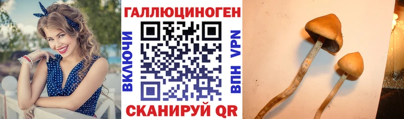Псилоцибиновые грибы MAGIC MUSHROOMS  Краснодар 